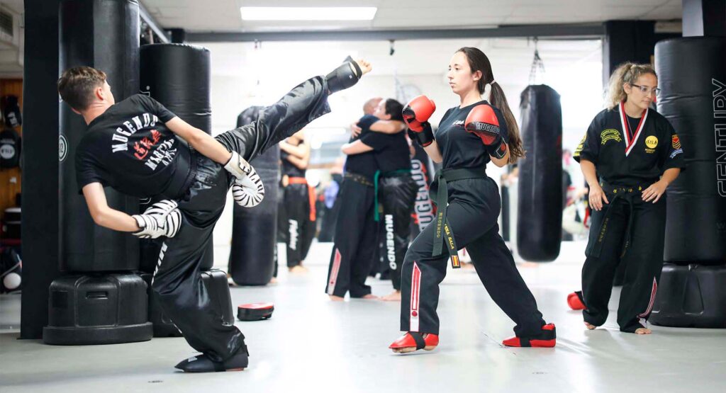 artes marciales sant just desvern