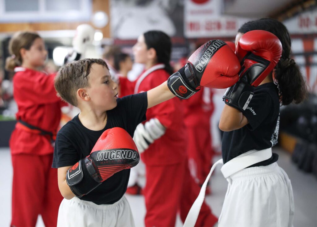 artes marciales sant just desvern